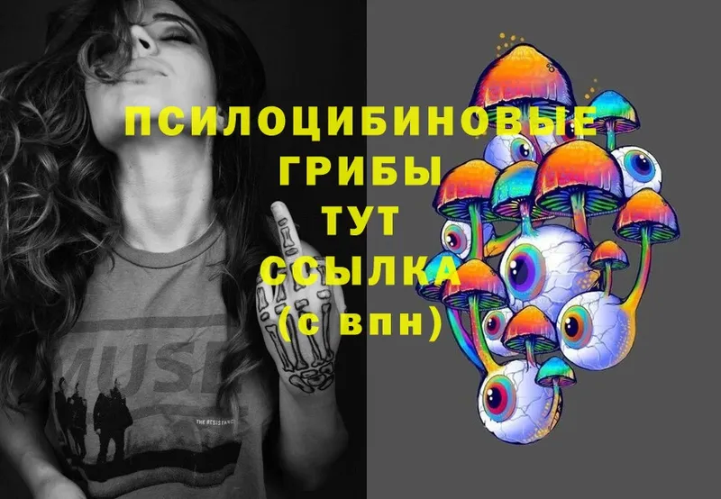 Псилоцибиновые грибы Psilocybe  где продают наркотики  Починок 